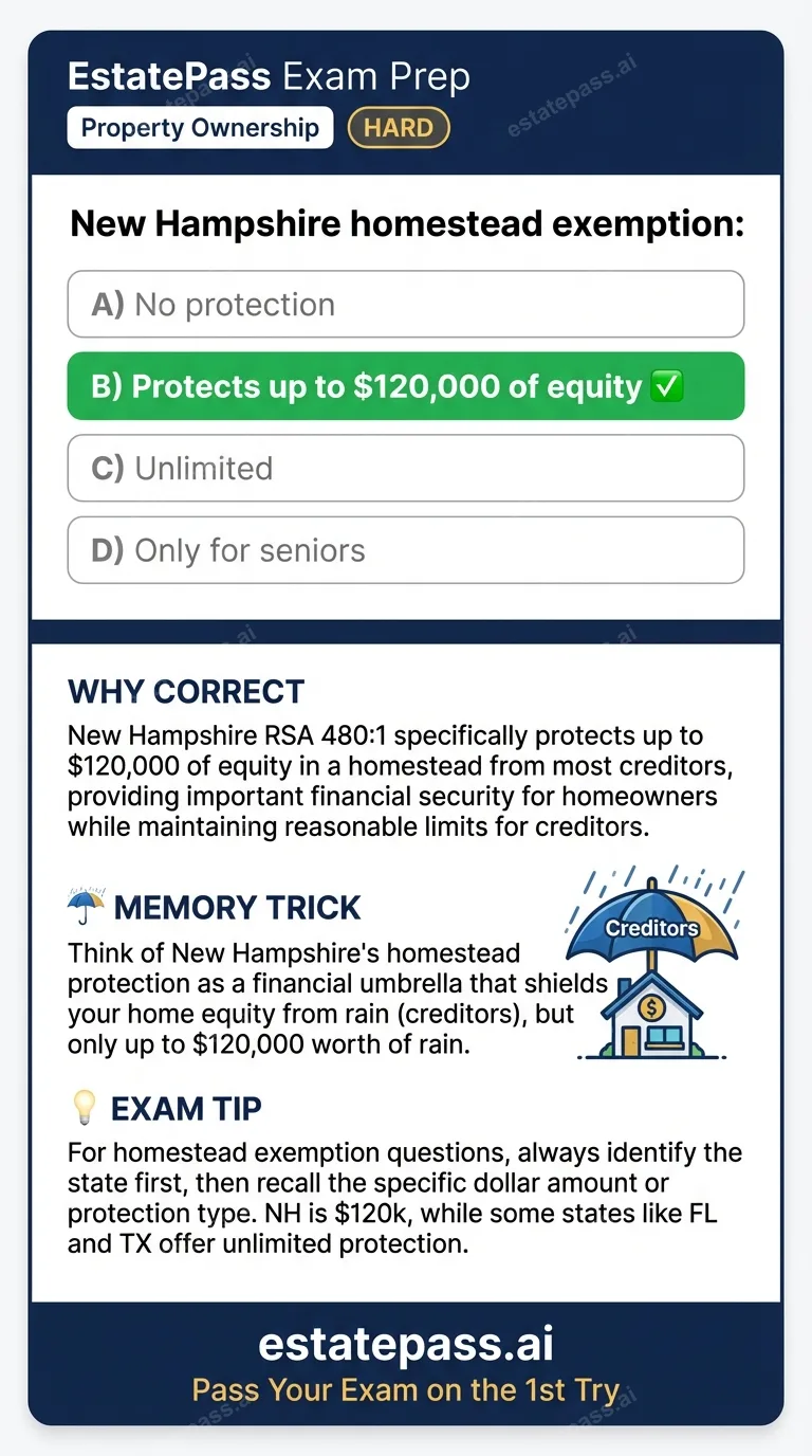 Study card infographic: New Hampshire homestead exemption: